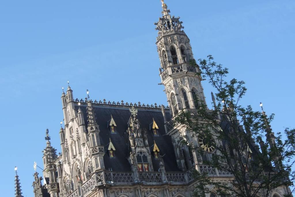 Vakantiewoning Zoetebeek Oudenaarde Eksteriør billede